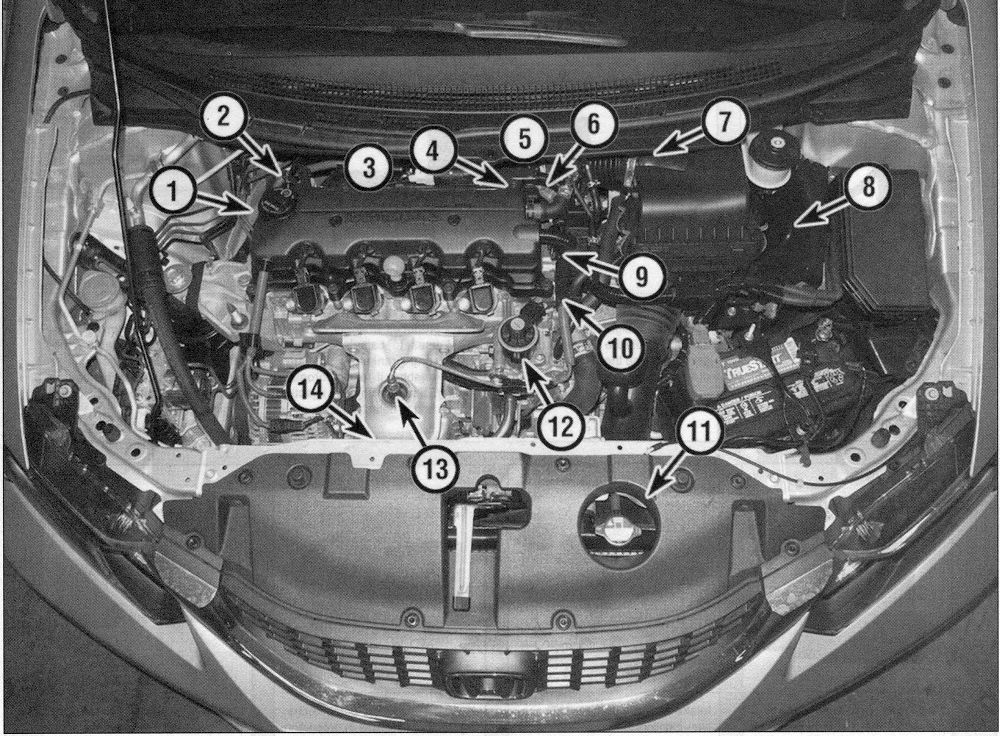 Honda Civic & CRV Emissions and engine control systems | 